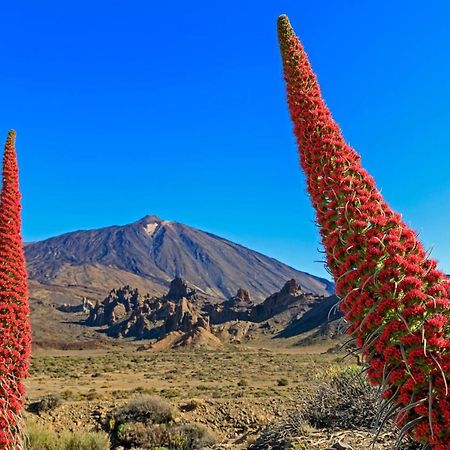 Jardines Del Teide Lejlighed Puerto de la Cruz  Eksteriør billede